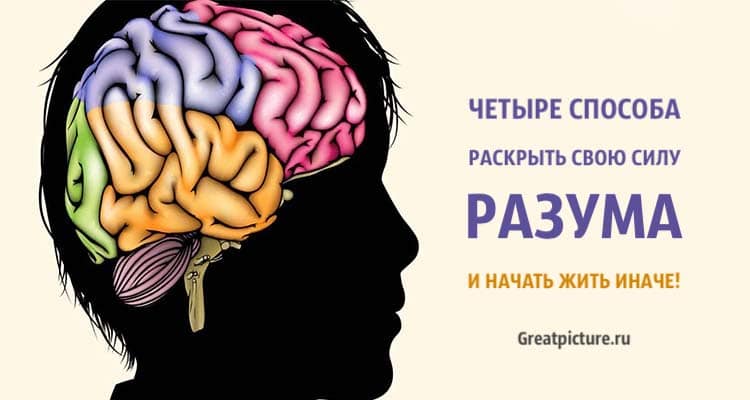 Граница ума. Неделя знаний о мозге. Сила разума. Границы ума картинки.